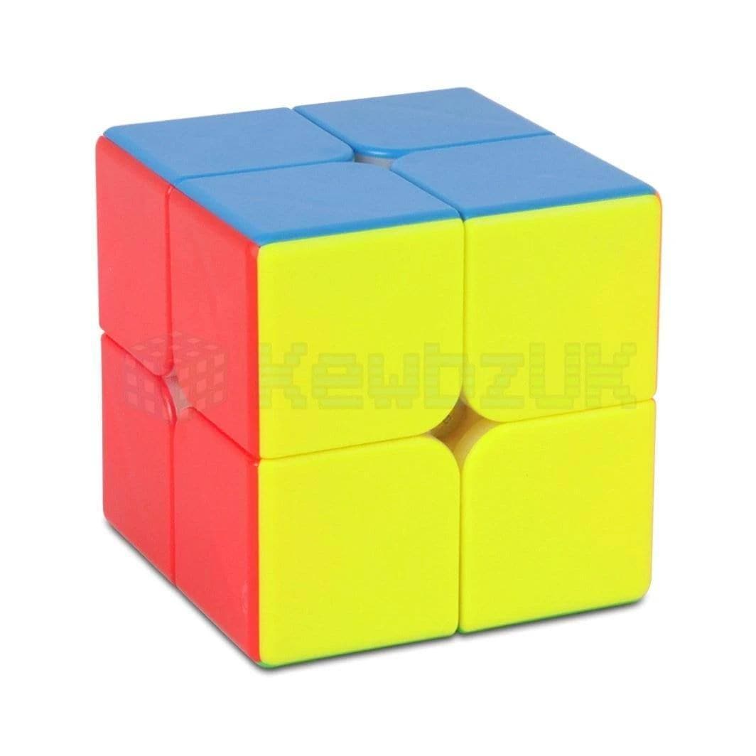 DianSheng 2x2 (Magnetic)