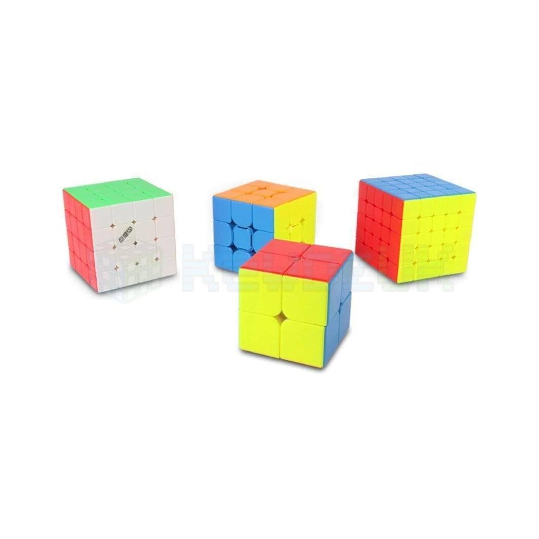 DianSheng 2x2 (Magnetic)