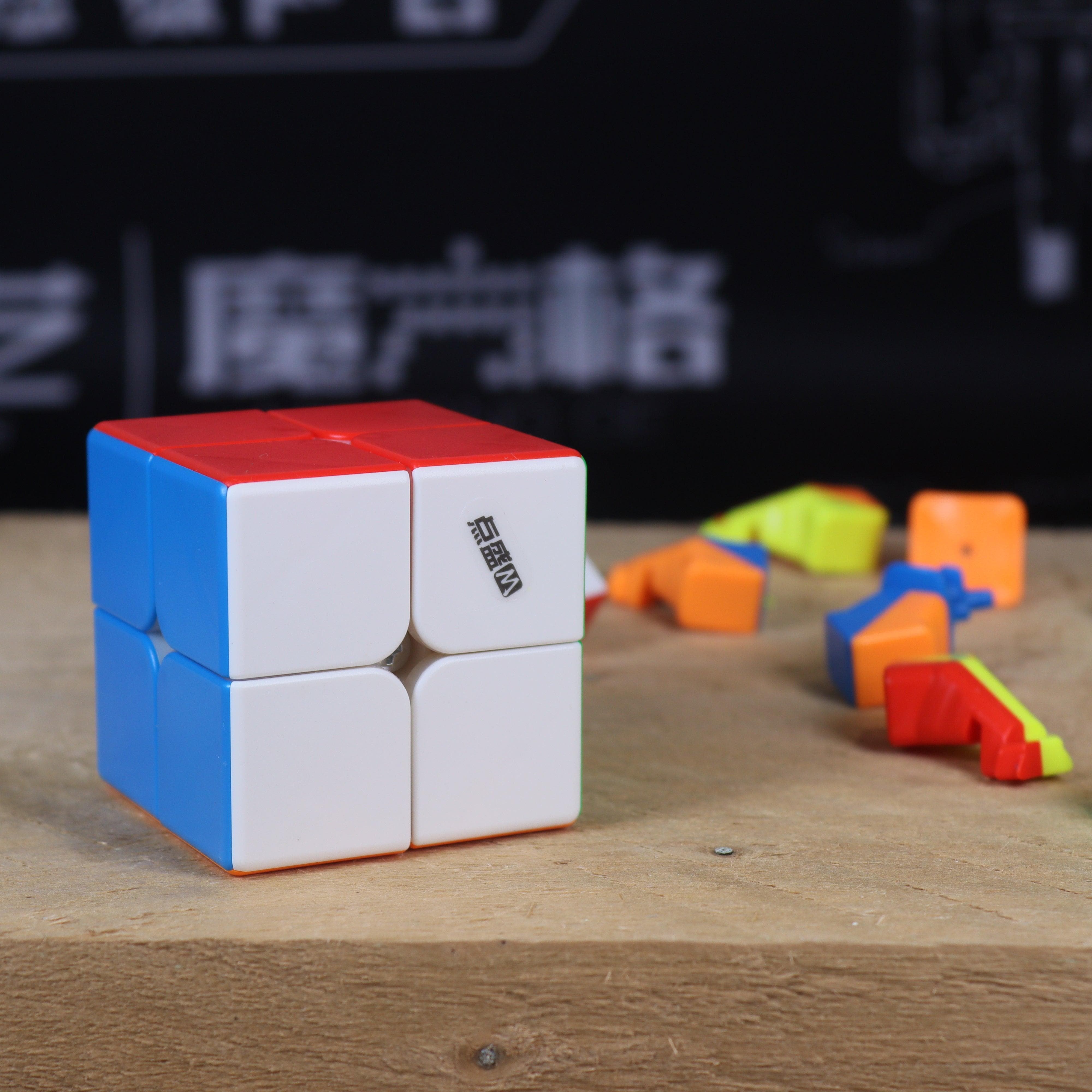 DianSheng 2x2 (Magnetic)